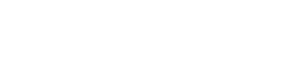 RepoBird Logo